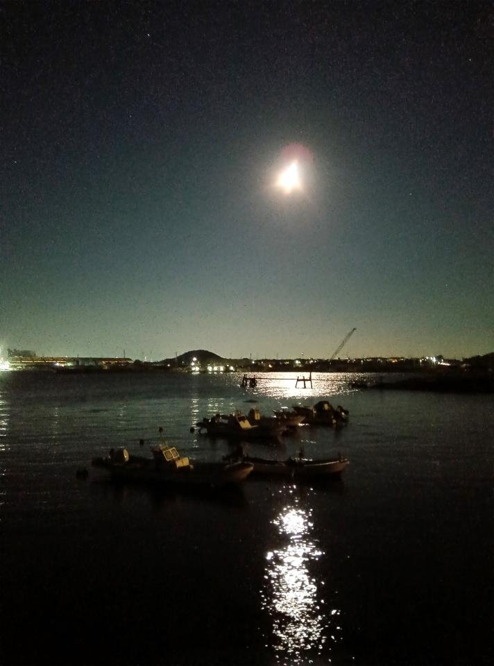 月夜の田原港