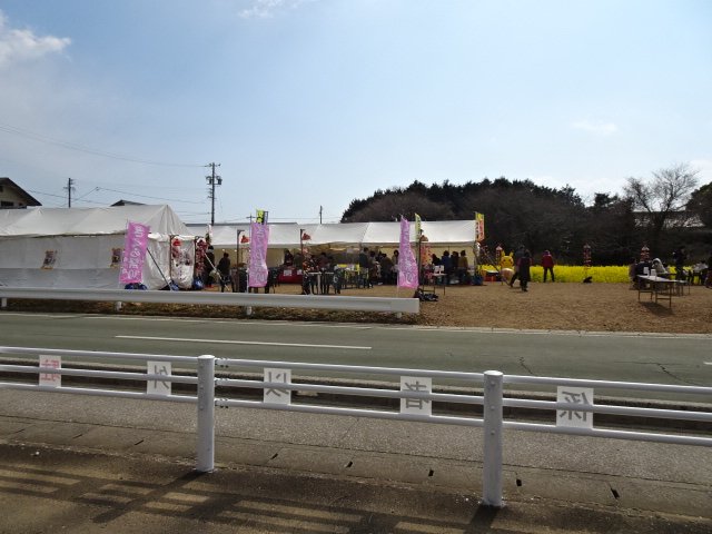 免々田川の桜祭り２