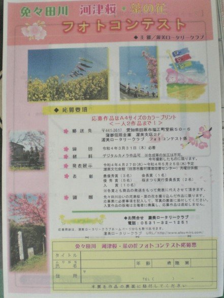 免々田川の桜祭り８
